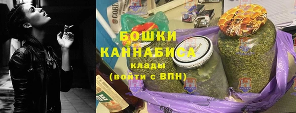 спиды Богородицк